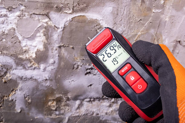 Best Attic Mold Removal  in New Smyrna Beach, FL
